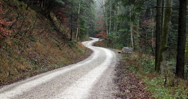 Orman yolu yaptırılacaktır