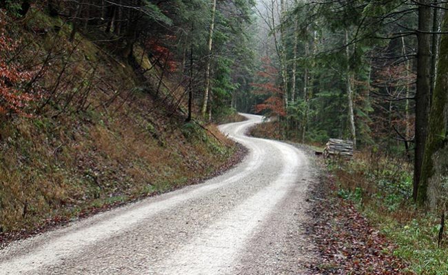 B TİPİ ORMAN YOLU YAPTIRILACAKTIR