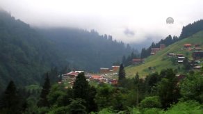 Ayder Yaylasına Turist Yoğunluğu