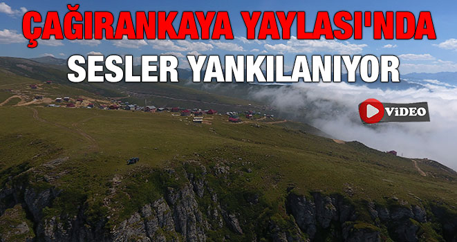 Çağırankaya Yaylası`nda sesler yankılanıyor